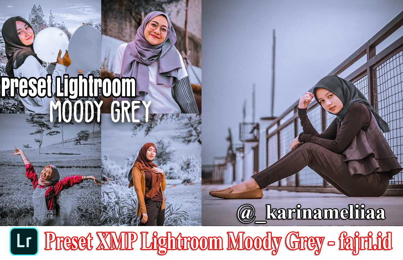 Preset XMP Lightroom Moody Grey Terbaru