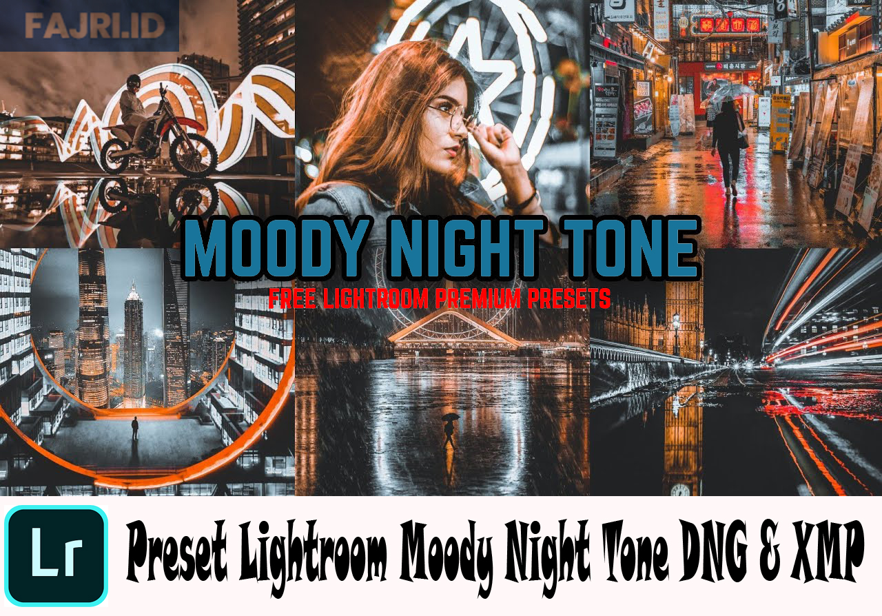 Preset Lightroom Moody Night Tone DNG & XMP