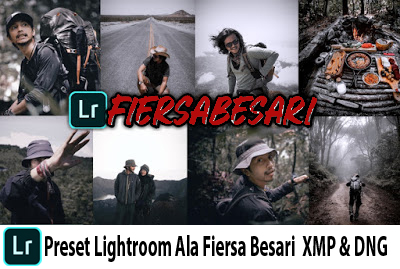 Preset Lightroom Ala Fiersa Besari DNG & XMP