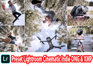 Preset Lightroom Cinematic Indie DNG & XMP