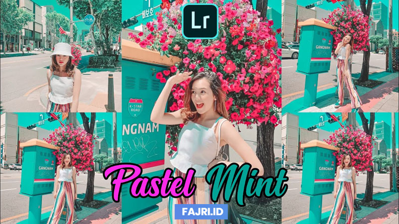 Preset Lightroom Pastel Mint New Update DNG & XMP