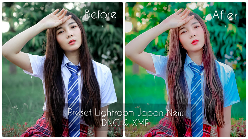 Preset Lightroom Japan New DNG & XMP